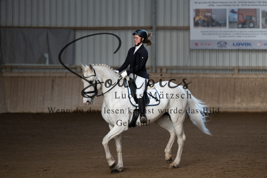 A7V05621 | Pferdefotograf