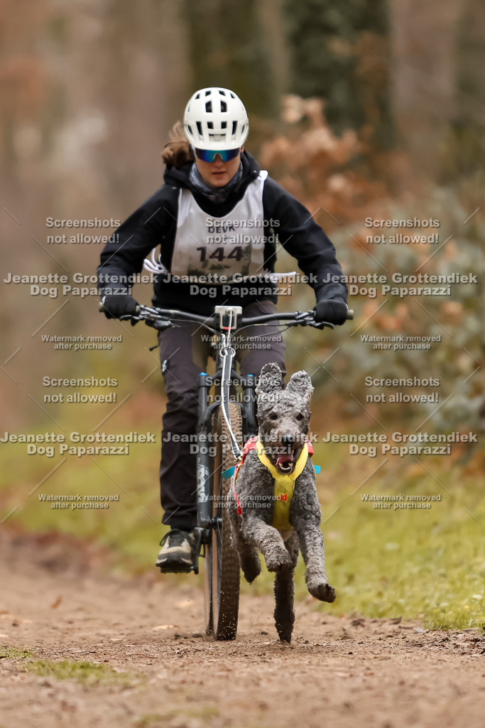 Dog Paparazzi - Speedhunter Mannheim  2025-401 | Dog Paparazzi Jeanette Grottendiek Fotografie & Videografie