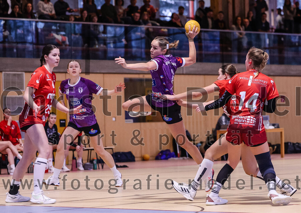 2025-02-22_093_SpVgg_Altenerding_gegen_TG_Landshut | Erding, Deutschland, 22.02.2025:Handball, Bezirksoberliga Frauen Altbayern 2024 / 2024, 15. Spieltag, SpVgg Altenerding gegen TG Landshut, Endergebnis: 25:22Carolin Kagerer (TG Landshut, #25), Sophie Lößl (SpVgg Altenerding, #14), Lena Prem (SpVgg Altenerding, #8), Isabella Gschossmann (TG Landshut, #14)Foto: Christian Riedel / fotografie-riedel.net