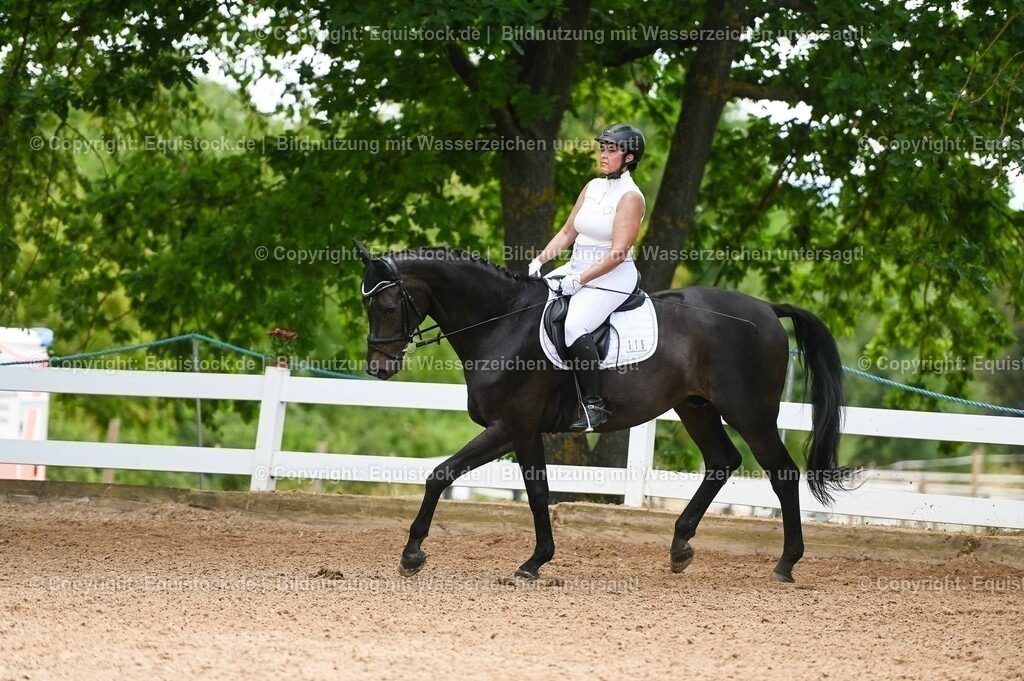 20230715_05_Dressurprüfung Kl.A++_0133 | equistock