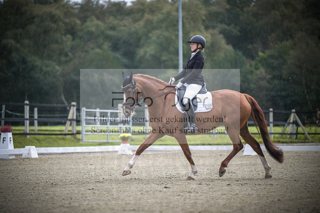 DOS_B379 | Entdecke hochwertige Reitturnierfotos von Foto Oger. Professionell, emotional und authentisch – jetzt Lieblingsmomente im Shop bestellen.Deutschlandweite Turnierfotografie. - Realisiert mit Pictrs.com