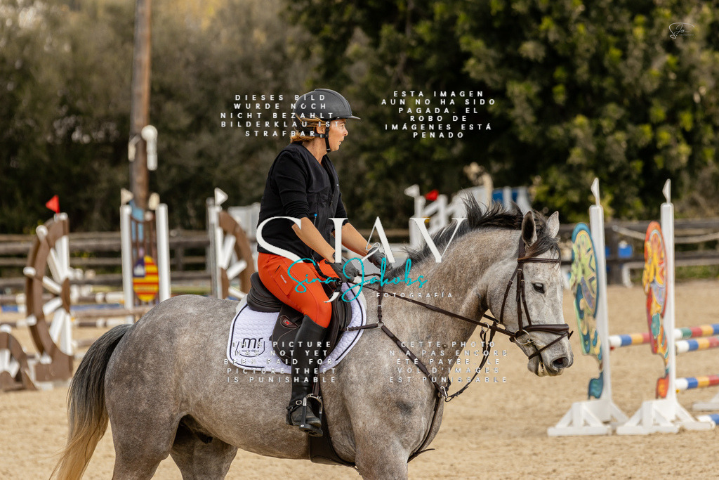 IMG_4546 | s-jay-photography - Realisiert mit Pictrs.com