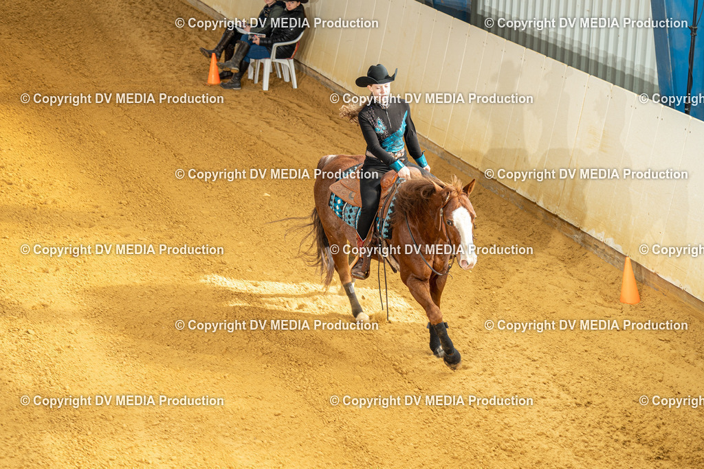 MIT00800 | dv-media-shop - Realisiert mit Pictrs.com