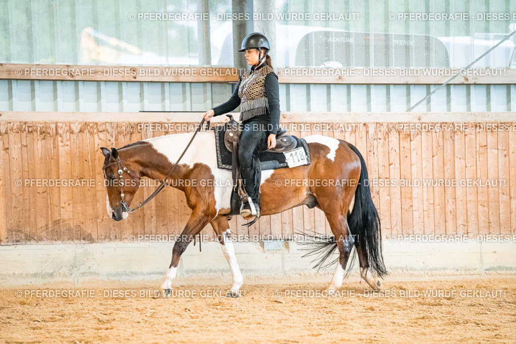 DSC00426 | Pferdegrafie