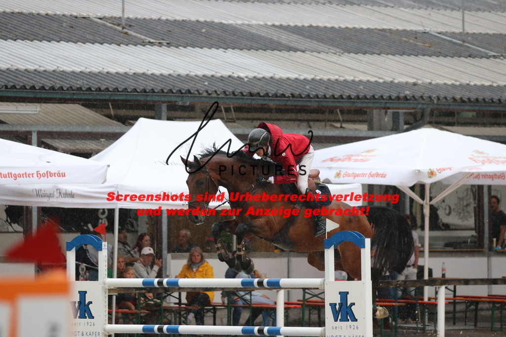 IMG_8256 | lmwpictures - Realisiert mit Pictrs.com