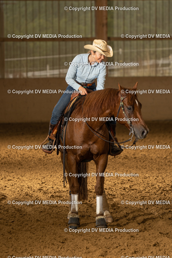 LAU00848 | dv-media-shop - Realisiert mit Pictrs.com