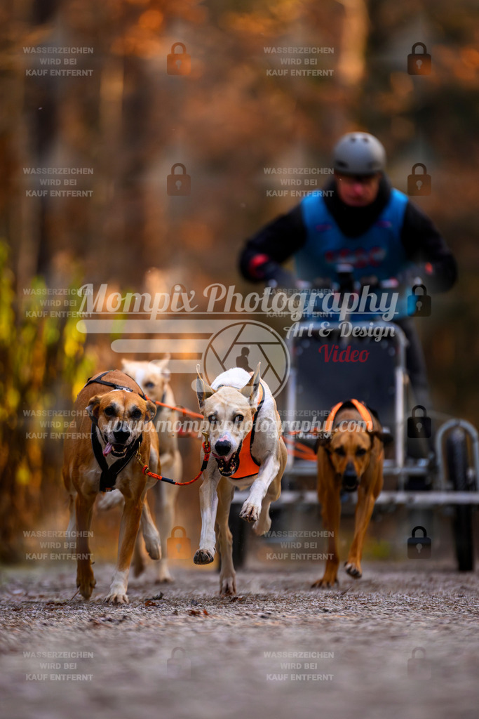 MompixPhotography_DM_AKDM_SO_2025_Wagen-40 | PayLife