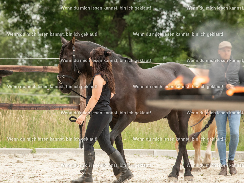 598A6332 | photographylinaismer - Realisiert mit Pictrs.com