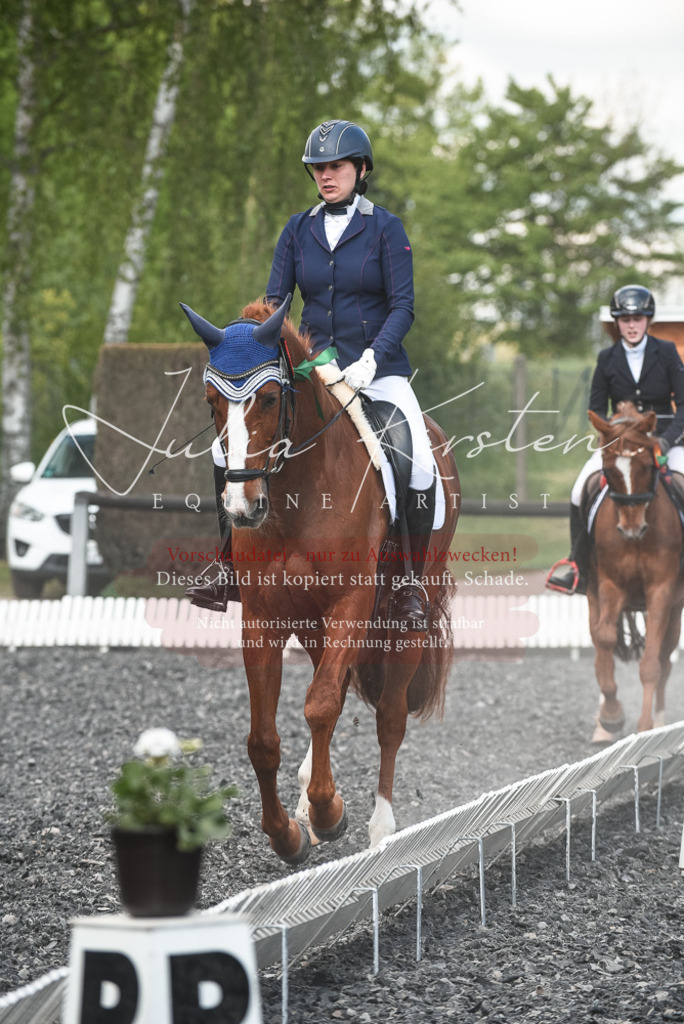 DSC_9102 | Pferde- und Turnierfotografie in Westsachsen. Pferdeportraits, Auftragszeichnungen und intuitive Kunst.