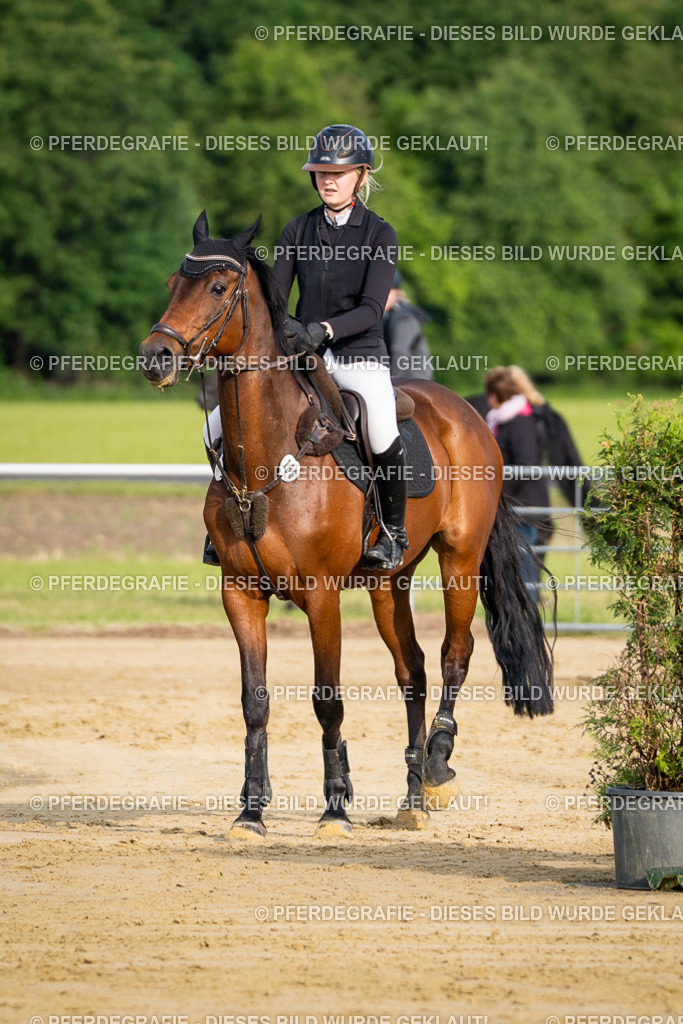 DSC02657 | Pferdegrafie