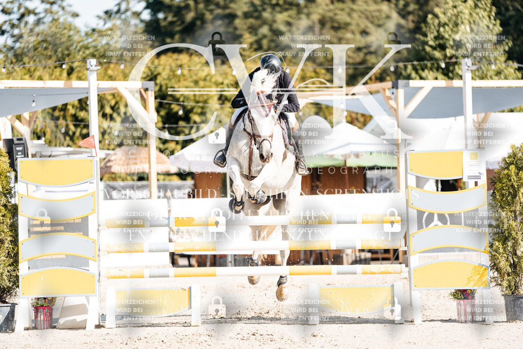 CK901975 | Turnierfotografie Pferdefotografie Trier Rheinland-Pfalz Pferdesport Reitsport Tierfotografie Sportfotografie Pferdevideo Pferdevideografie Equestrianvideography equestrianphotography  - Realisiert mit Pictrs.com