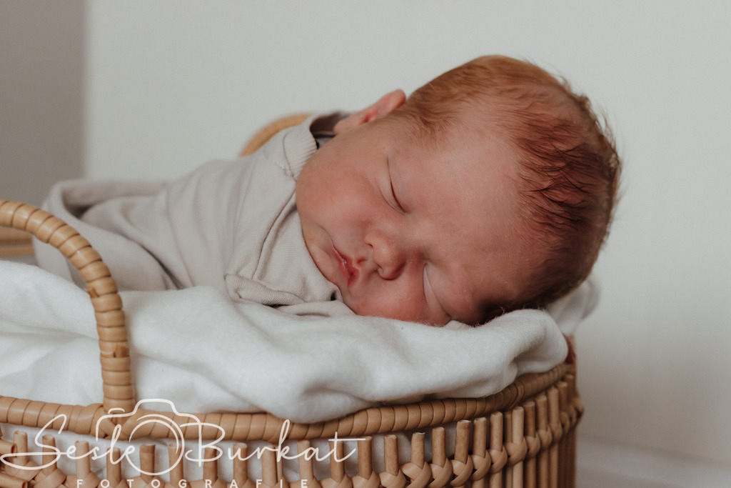 20250910-IMG_8337 | Authentische, natürliche und emotionale Fotoshootings auf der Nordseeinsel Föhr. Als Fotografin halte ich deine schönsten Momente in einzigartigen Neugeborenen-, Familien-, Paar- und Einzelshootings fest. Jetzt einen Termin vereinbaren!