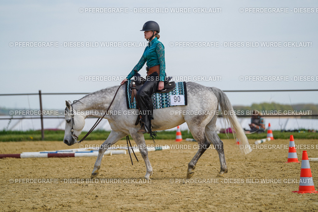 DSC04656 | Pferdegrafie