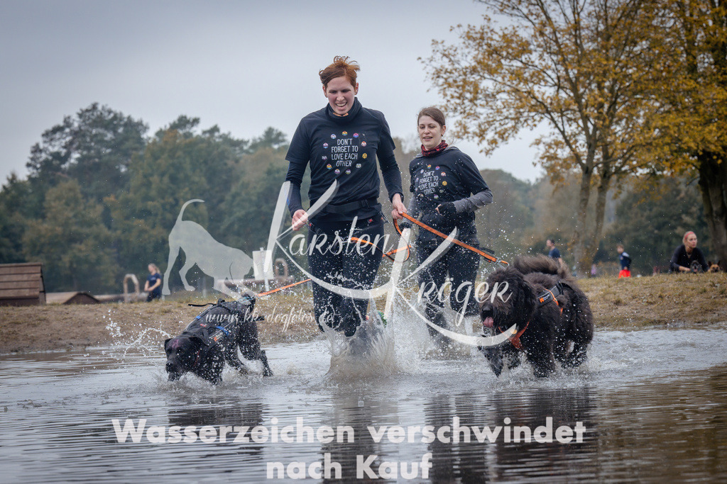 1206_ZZ98097 | kk-dogfotos