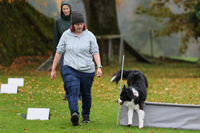 2025_Rally_Obedience_SM-32 | Ich fotografiere Hundeausstellungen, Sportanlässe, Zuchtstätten, Hundezucht, Hundeportrait, Lagotto - Realisiert mit Pictrs.com