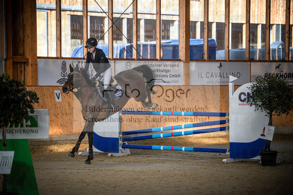 DOS_0029 | Entdecke hochwertige Reitturnierfotos von Foto Oger. Professionell, emotional und authentisch – jetzt Lieblingsmomente im Shop bestellen.Deutschlandweite Turnierfotografie. - Realisiert mit Pictrs.com