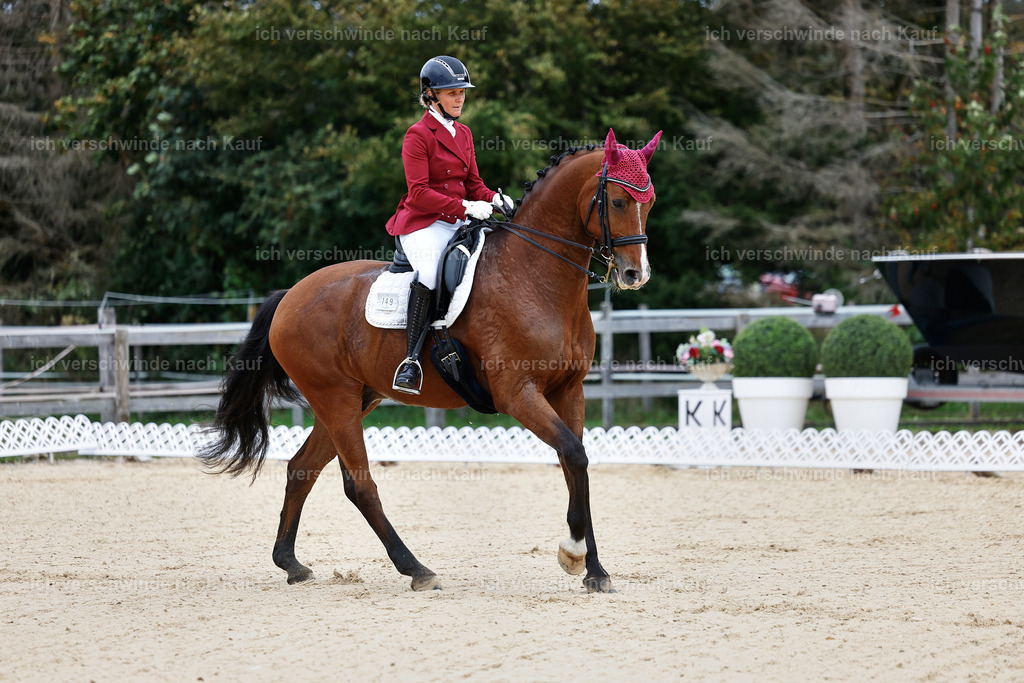 04_1-149-Dressur M__ -StoibPH-StoibPH-2623 | working equitationturnier fotograf videograf stoibphotography marixx film working equitation deutschland reitsport turnierfotografie eventfotografie equestrian events