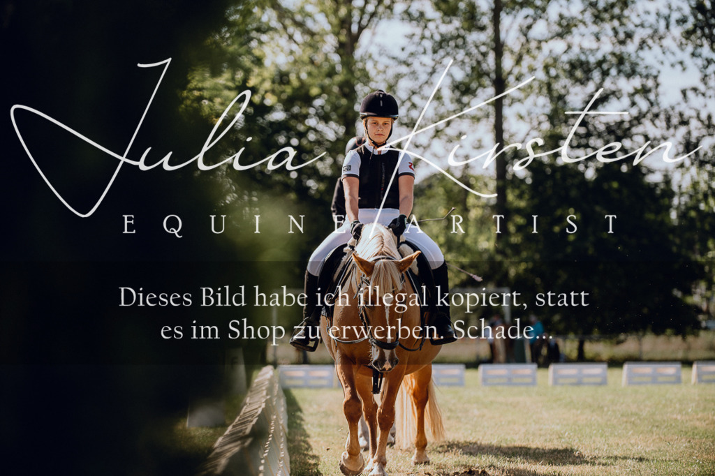 DSC_7122 | Pferde- und Turnierfotografie in Westsachsen. Pferdeportraits, Auftragszeichnungen und intuitive Kunst.
