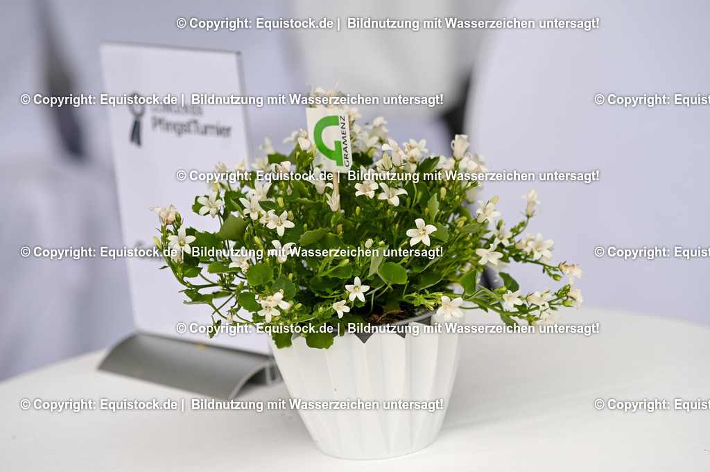 20250607_Impressionen_0022 | Foto: Thomas Hartig