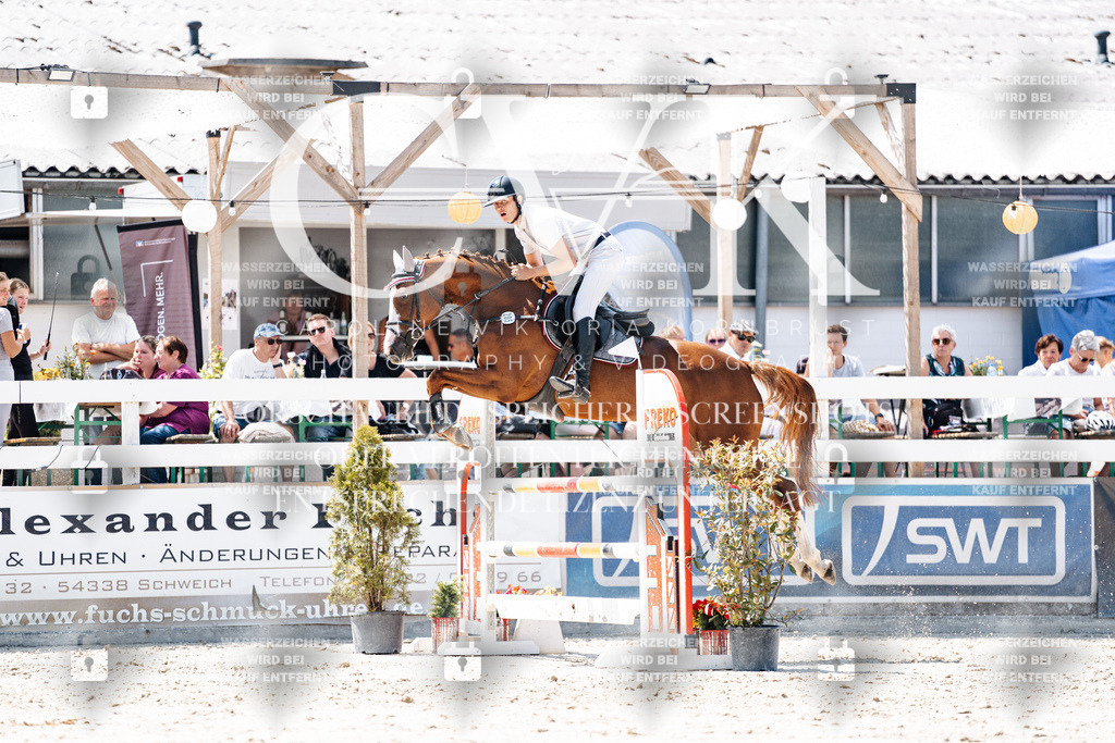 CK900093 | Turnierfotografie Pferdefotografie Trier Rheinland-Pfalz Pferdesport Reitsport Tierfotografie Sportfotografie Pferdevideo Pferdevideografie Equestrianvideography equestrianphotography  - Realisiert mit Pictrs.com