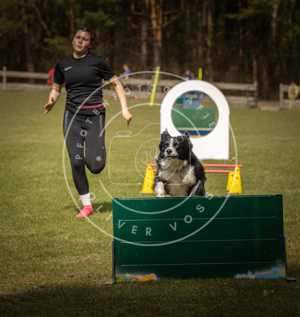 Pfotenfotografie_DV3A6022 | Hundefotografie, Tierfotograf, Pfotenfotografie, Fotoshooting Hund, Hunde Portrait, Hundesport, Hundeportraits, Heideshooting, Hunde, Sportfotograf, Hundefotograf, Turnierhundsport, THS,  - Realisiert mit Pictrs.com