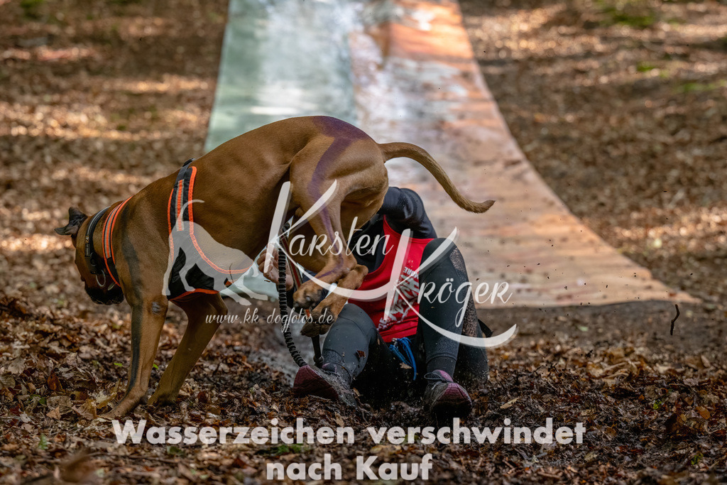 1148_ZZ92483-Bearbeitet | kk-dogfotos