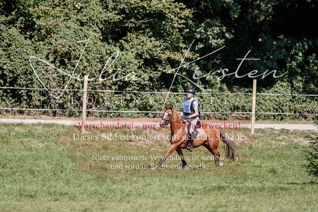 DSC_2075 | Pferde- und Turnierfotografie in Westsachsen. Pferdeportraits, Auftragszeichnungen und intuitive Kunst.