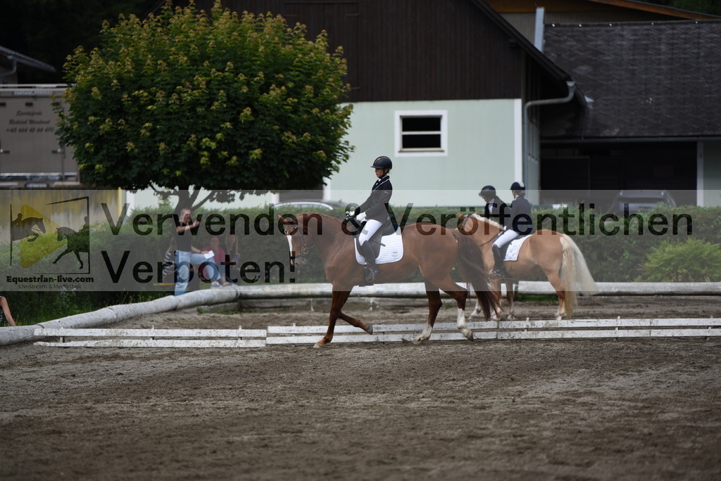 DSC_5107 | equestrian-live-com