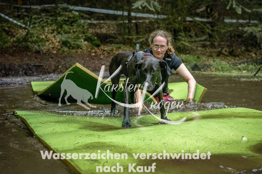 1453_ZZ94132-Bearbeitet | kk-dogfotos