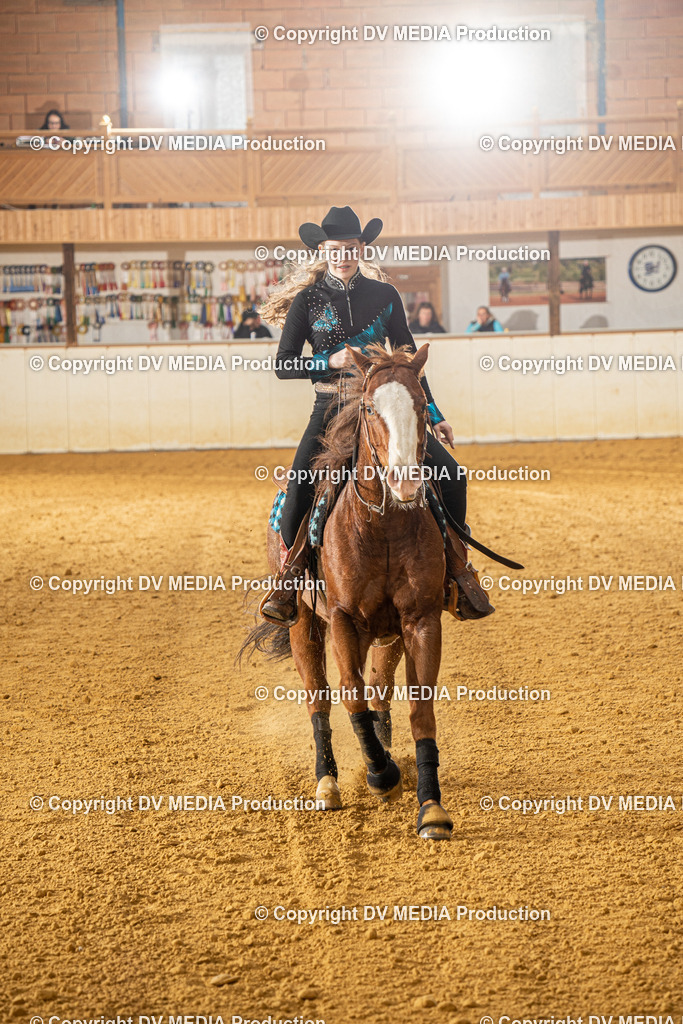 MIT00631 | dv-media-shop - Realisiert mit Pictrs.com