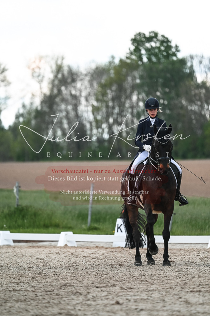 20230514_JK-Röhrsdorf-21-334 | Pferde- und Turnierfotografie in Westsachsen. Pferdeportraits, Auftragszeichnungen und intuitive Kunst.
