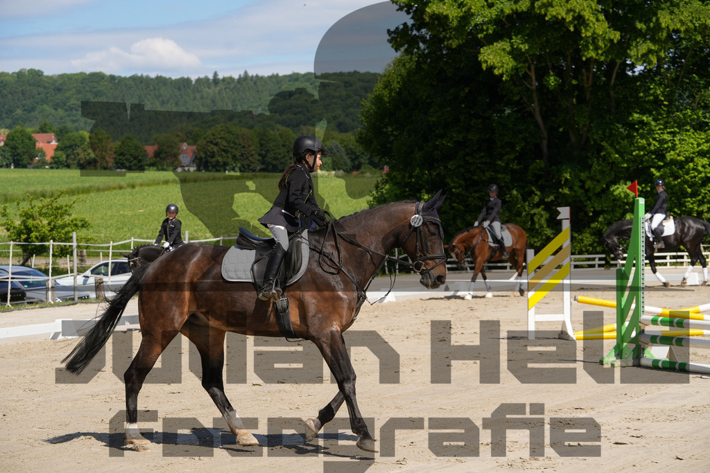 DSC03220 | Julian Held Fotografie - Realisiert mit Pictrs.com