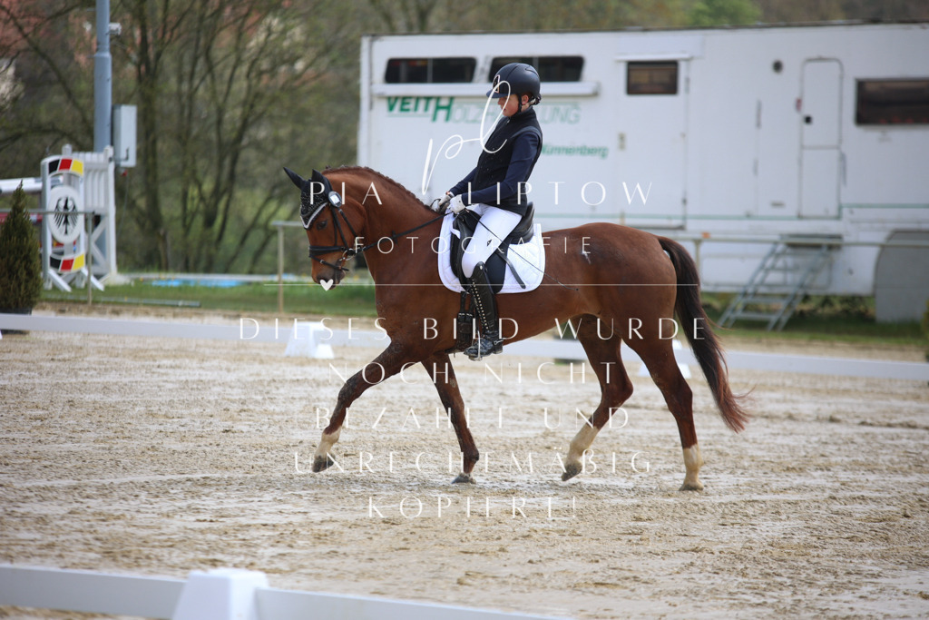 IMGT2238 | pl-fotografie