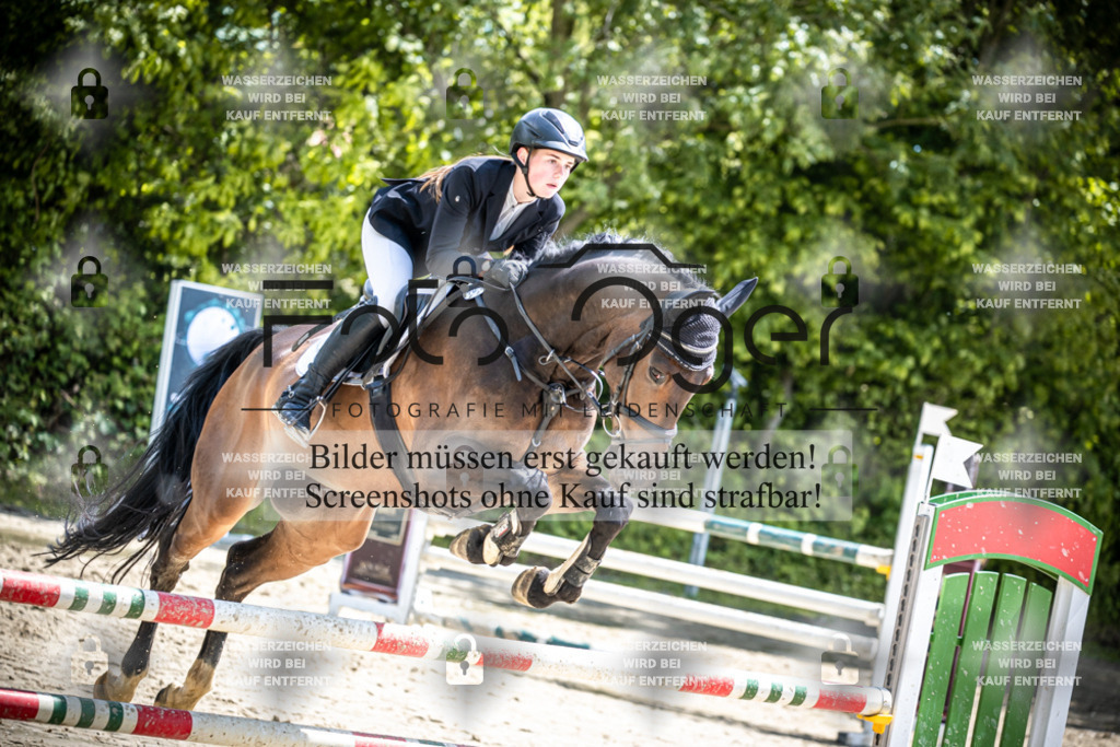 DOS_1436 | Reitturnier Lüdinghausen - Realisiert mit Pictrs.com