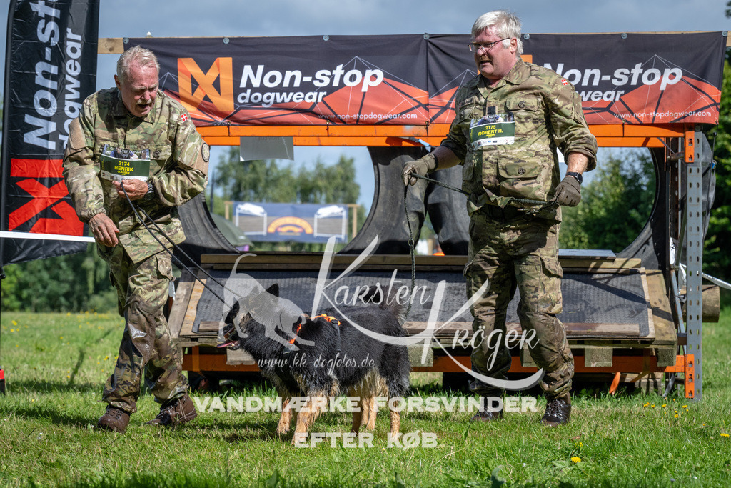 1106_ZZ91921 | kk-dogfotos