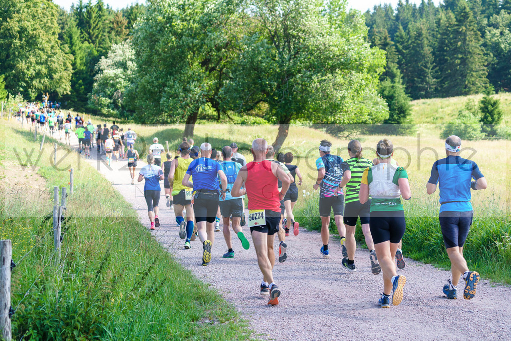 Schneekopflauf 2023 | Am 1. Juli 2023 startete der 20. Schneekopflauf von Schmiedefeld zum Schneekopf.