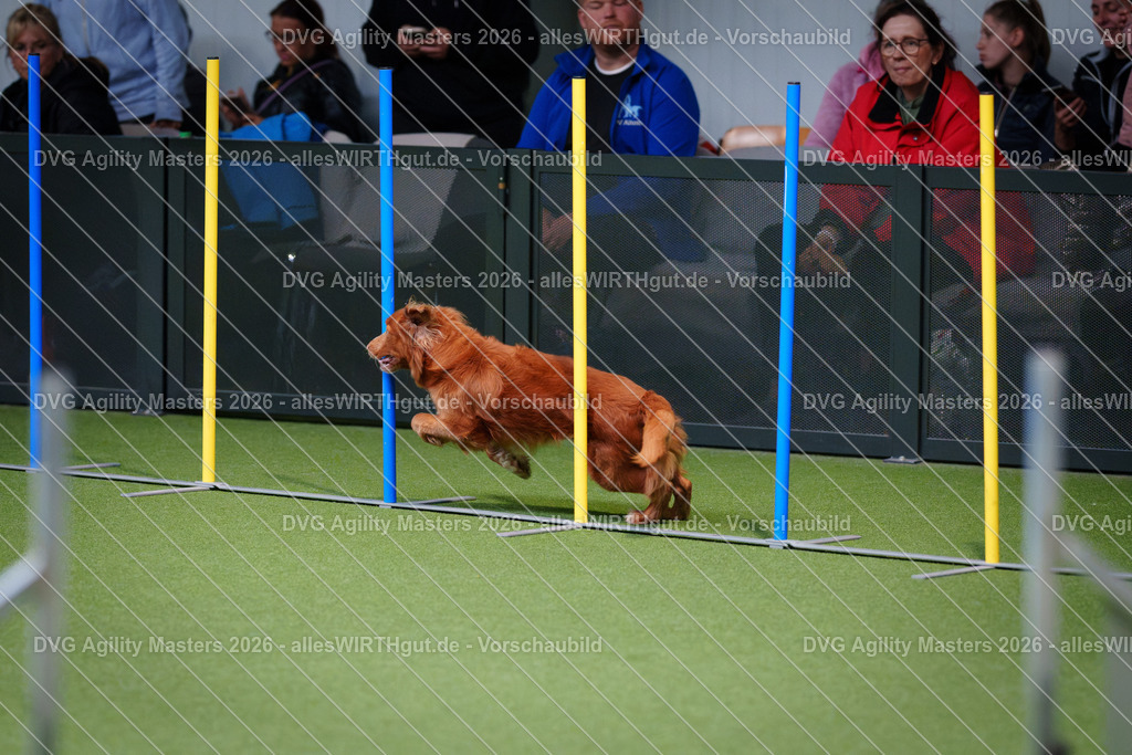 allesWIRTHgut_Tierfotografie-DVG_Agility_Masters_2026-13_39-7R509812 | Professionelle Tierfotografie in Mönchengladbach von Daniel Wirth (allesWIRTHgut). Liebevolle & natürliche Bilder von Hunden & Katzen für unvergessliche Erinnerungen.