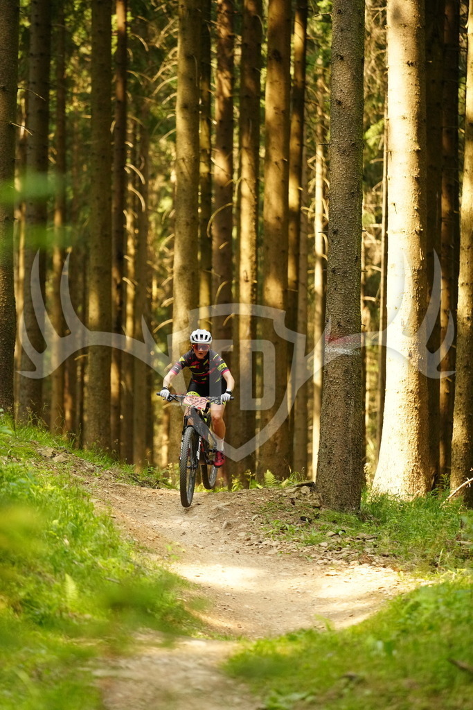 FC103128 | Fotogalerie der Treibjagd im Dunkelwald - Dein MTB Etappenrennen im Erzgebirge - Realisiert mit Pictrs.com