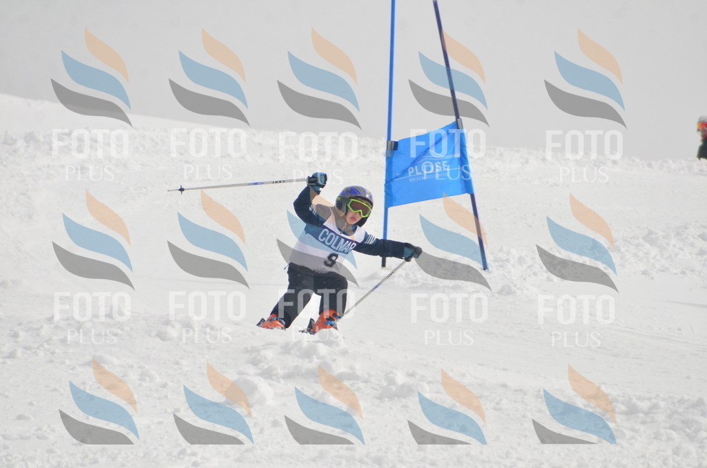 A5054 | holidayphoto