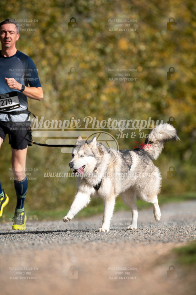 TSB_2023_E2_Canicross-137 | mompixphotography