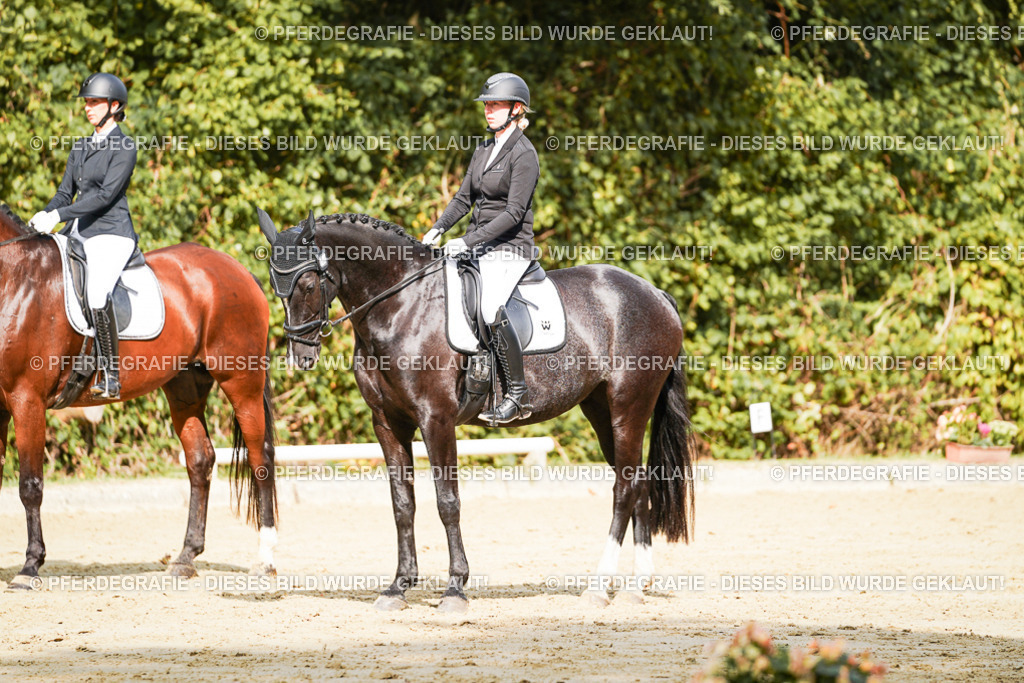 DSC02190 | Pferdegrafie