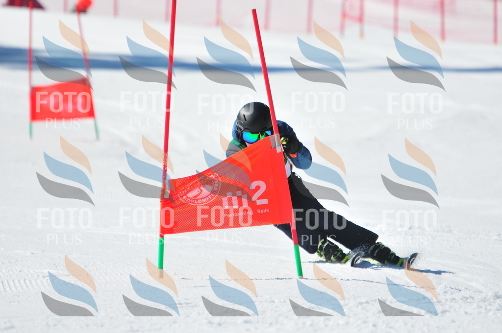 C3405 | holidayphoto