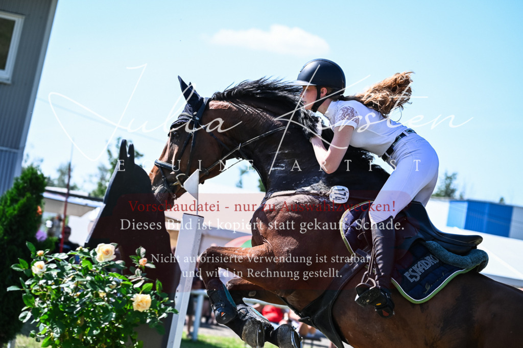 DSC_1692 | Pferde- und Turnierfotografie in Westsachsen. Pferdeportraits, Auftragszeichnungen und intuitive Kunst.