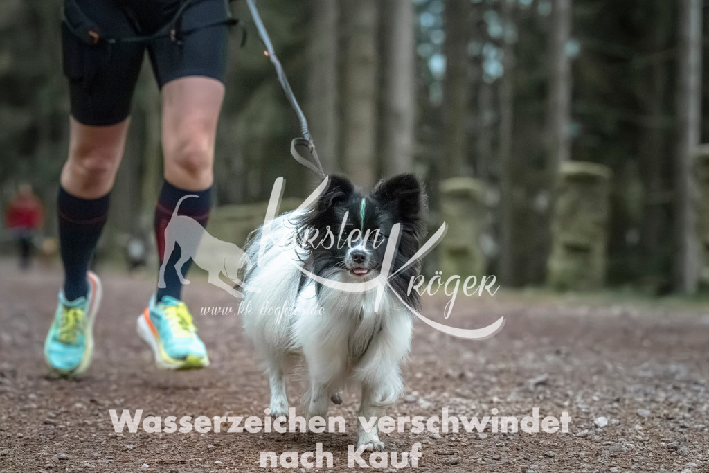 0829_ZZ91717 | kk-dogfotos