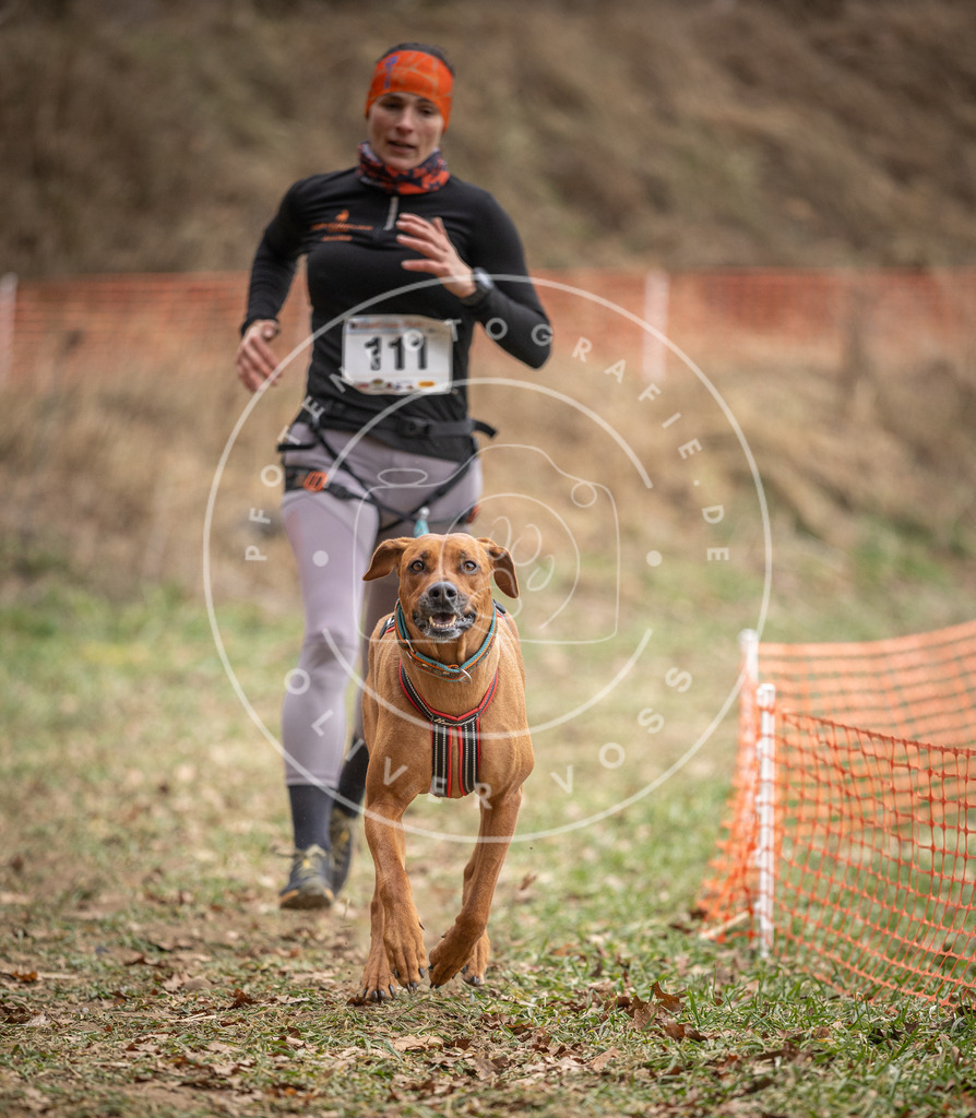 Pfotenfotografie_DV3A7531 | Hundefotografie, Tierfotograf, Pfotenfotografie, Fotoshooting Hund, Hunde Portrait, Hundesport, Hundeportraits, Heideshooting, Hunde, Sportfotograf, Hundefotograf, Turnierhundsport, THS,  - Realisiert mit Pictrs.com