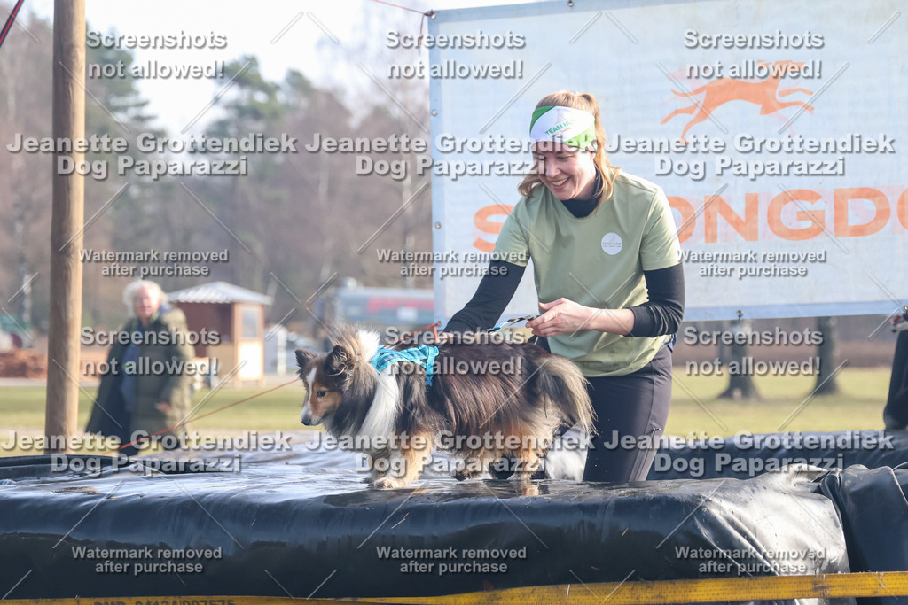 Dog Paparazzi - Strongdog North Mrz26-467 | Dog Paparazzi Jeanette Grottendiek Fotografie & Videografie - Realisiert mit Pictrs.com