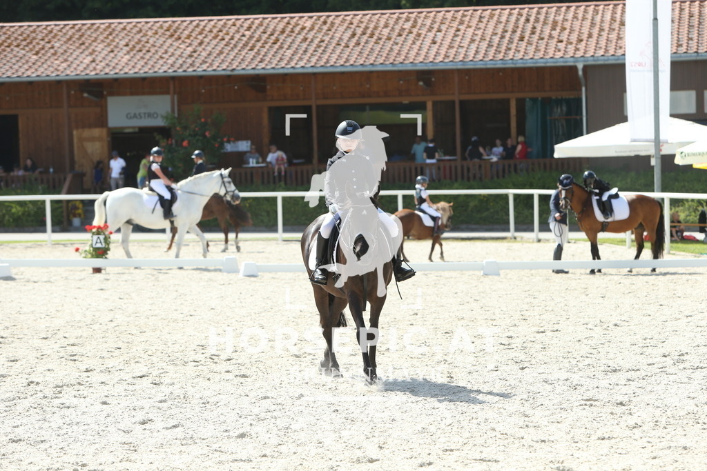 DL2Q0663 | Willkommen bei Brunnmayr - Design & Fotografie – Ihrem Spezialisten für Reitturniere und Pferdeveranstaltungen in Oberösterreich, Salzburg und Bayern! Seit über 17 Jahren sind wir leidenschaftlich dabei.