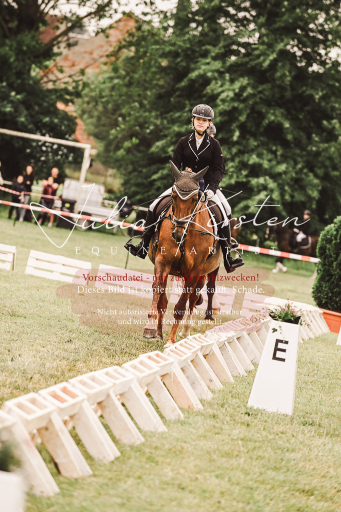 DSC_5168 | Pferde- und Turnierfotografie in Westsachsen. Pferdeportraits, Auftragszeichnungen und intuitive Kunst.