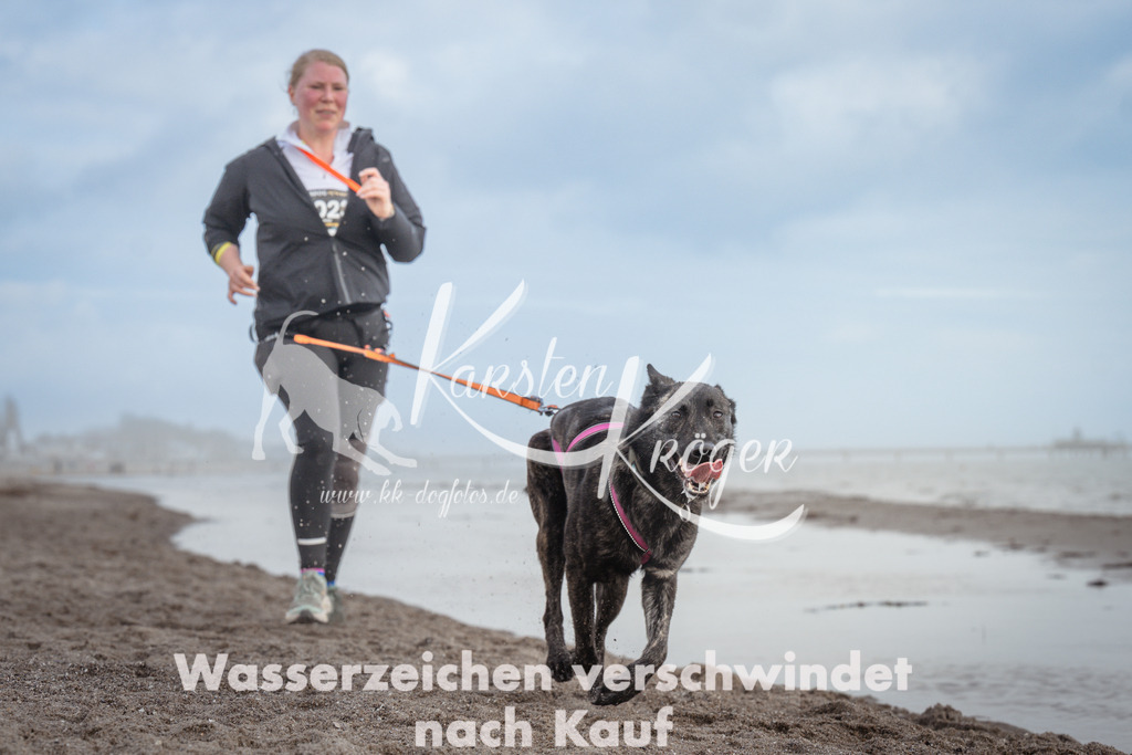 1213_ZZ95135 | kk-dogfotos