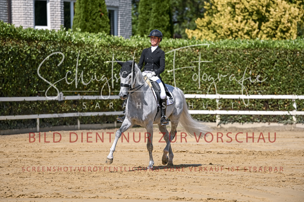 Schugtsche-Aluta25-58. Dressurprf.S1Kand.St.GeorgSpecial-120 | Schugtsche Fotografie - Realisiert mit Pictrs.com